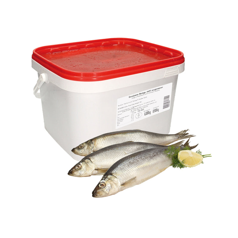 Pacific Herring, lightly salted, 1 piece 400g